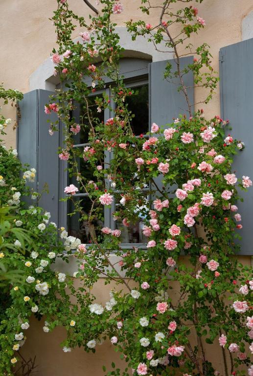 Logis Hotel - Restaurant La Marbrerie Caunes-Minervois Rom bilde